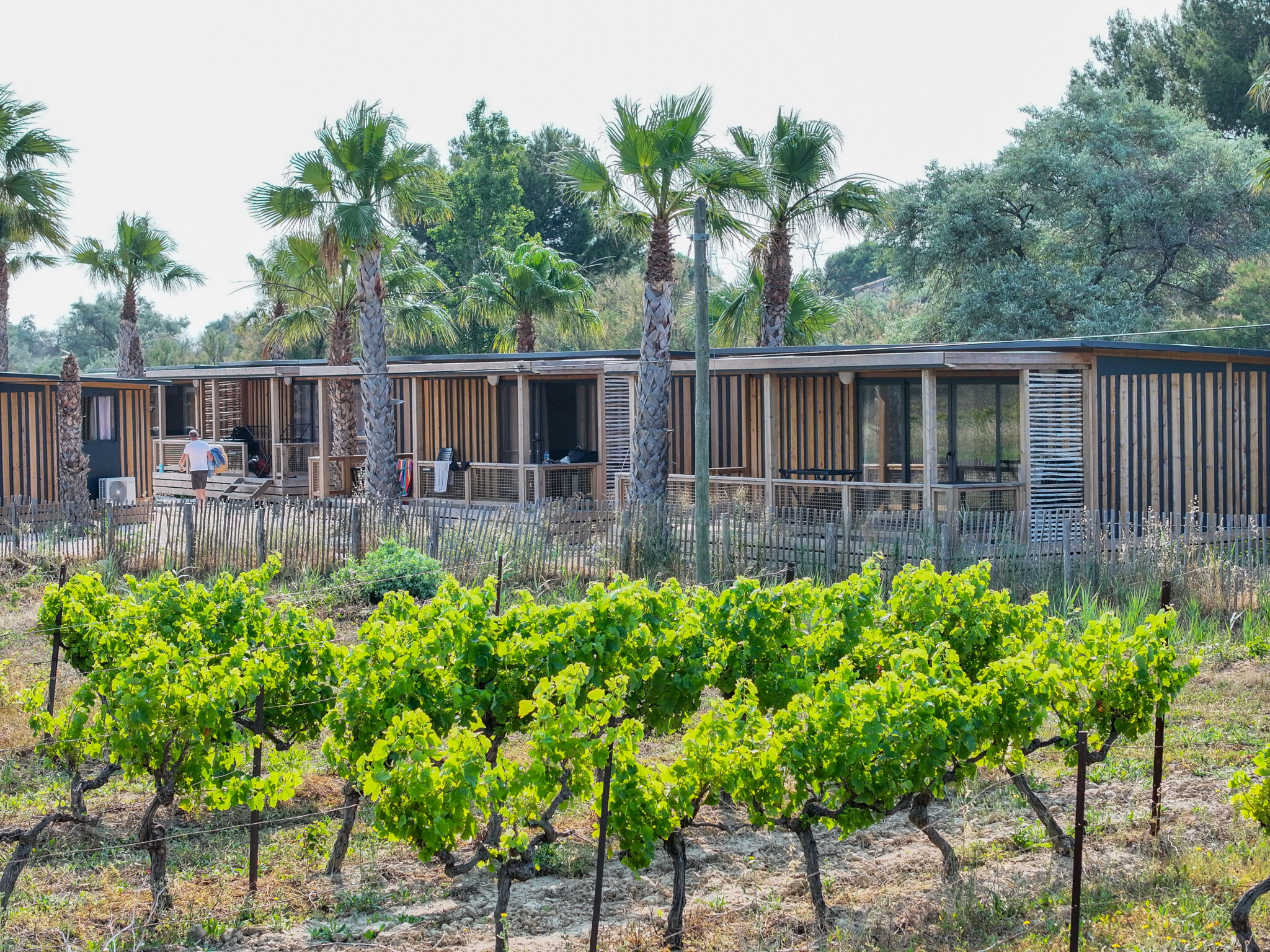 Camping Paradis Soleil d'Oc - Vue aérienne zone premium location avec vue sur les vignes